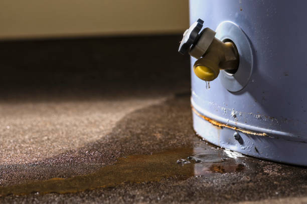 Best Mold removal after water damage  in Tucumcari, NM