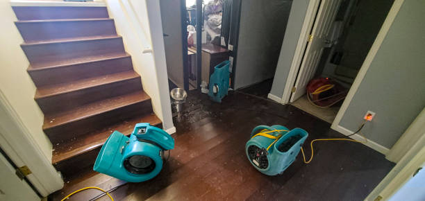  Tucumcari, NM Water damage restoration Pros
