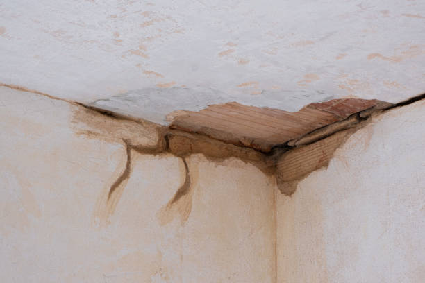 Best Water damage contractors near me  in Tucumcari, NM