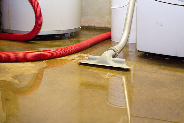 Carpet water damage restoration in NM
