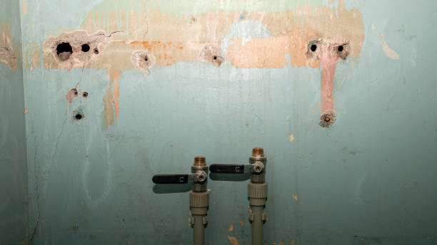 Best Carpet water damage restoration  in Tucumcari, NM