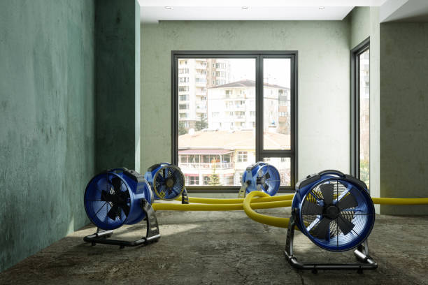 Best Ceiling water damage repair  in Tucumcari, NM